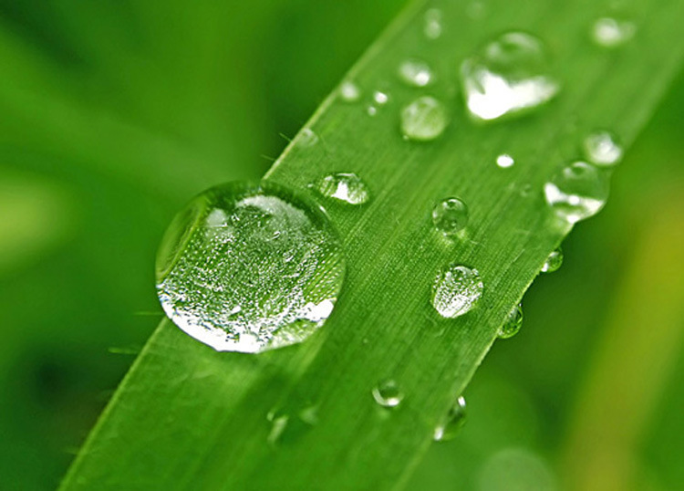 水中的重金屬，凈水器如何過濾