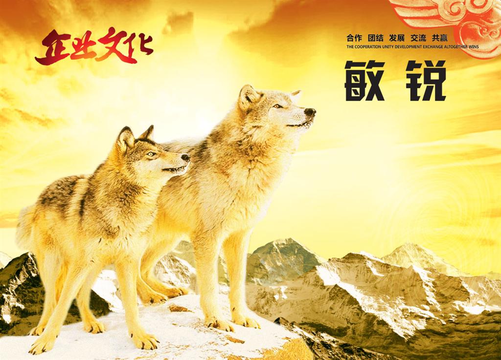 凈水器對水的處理效果怎么樣